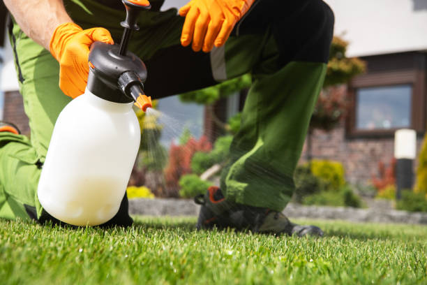 Best Best Pest Control Companies  in Chester, SC