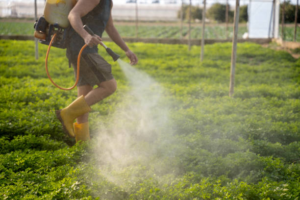 Best Mosquito Control Services  in Chester, SC