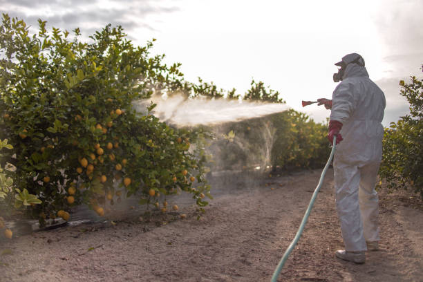 Best Affordable Pest Control Services  in Chester, SC