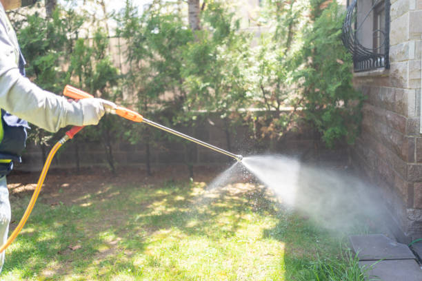 Best Emergency Pest Control  in Chester, SC
