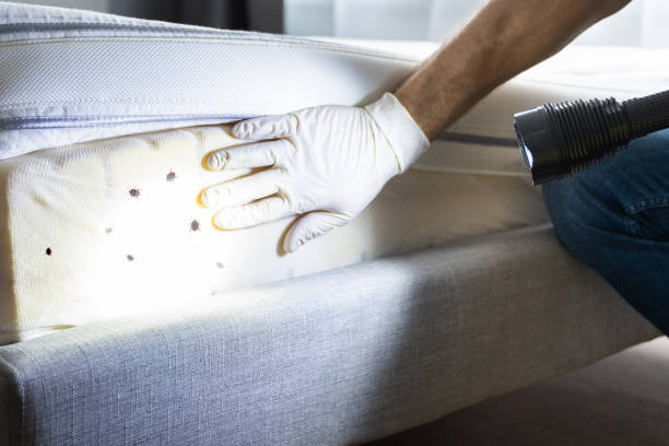 Best Pest Prevention Services  in Chester, SC
