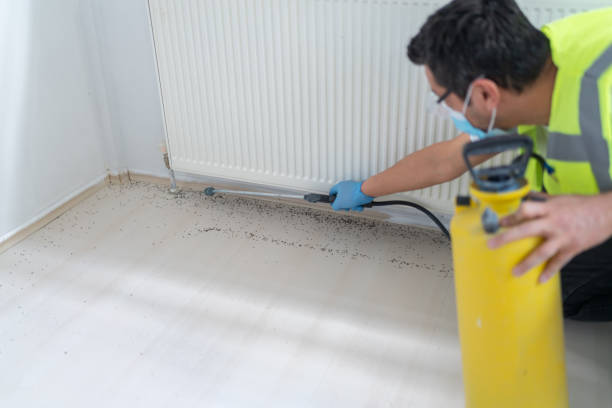 Best Exterminator Services  in Chester, SC