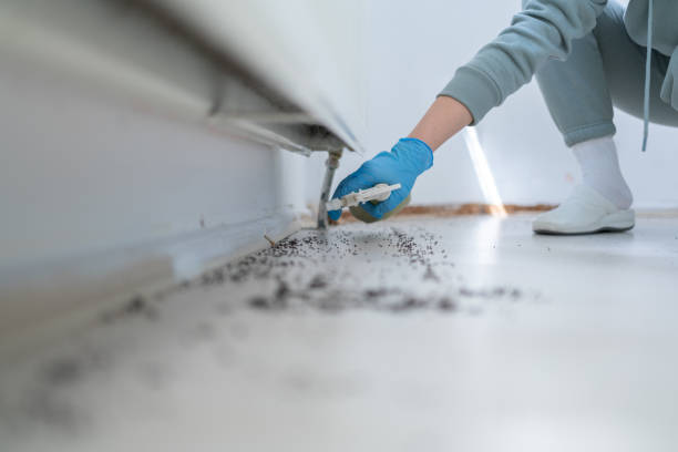 Pest Prevention Services in Chester, SC