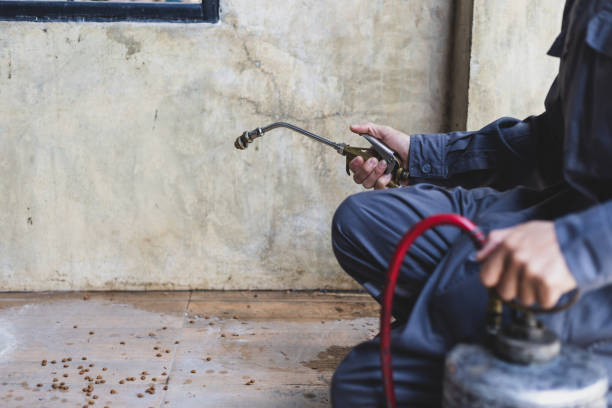 Best Best Pest Control Companies  in Chester, SC